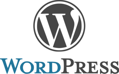 Word Press Developer